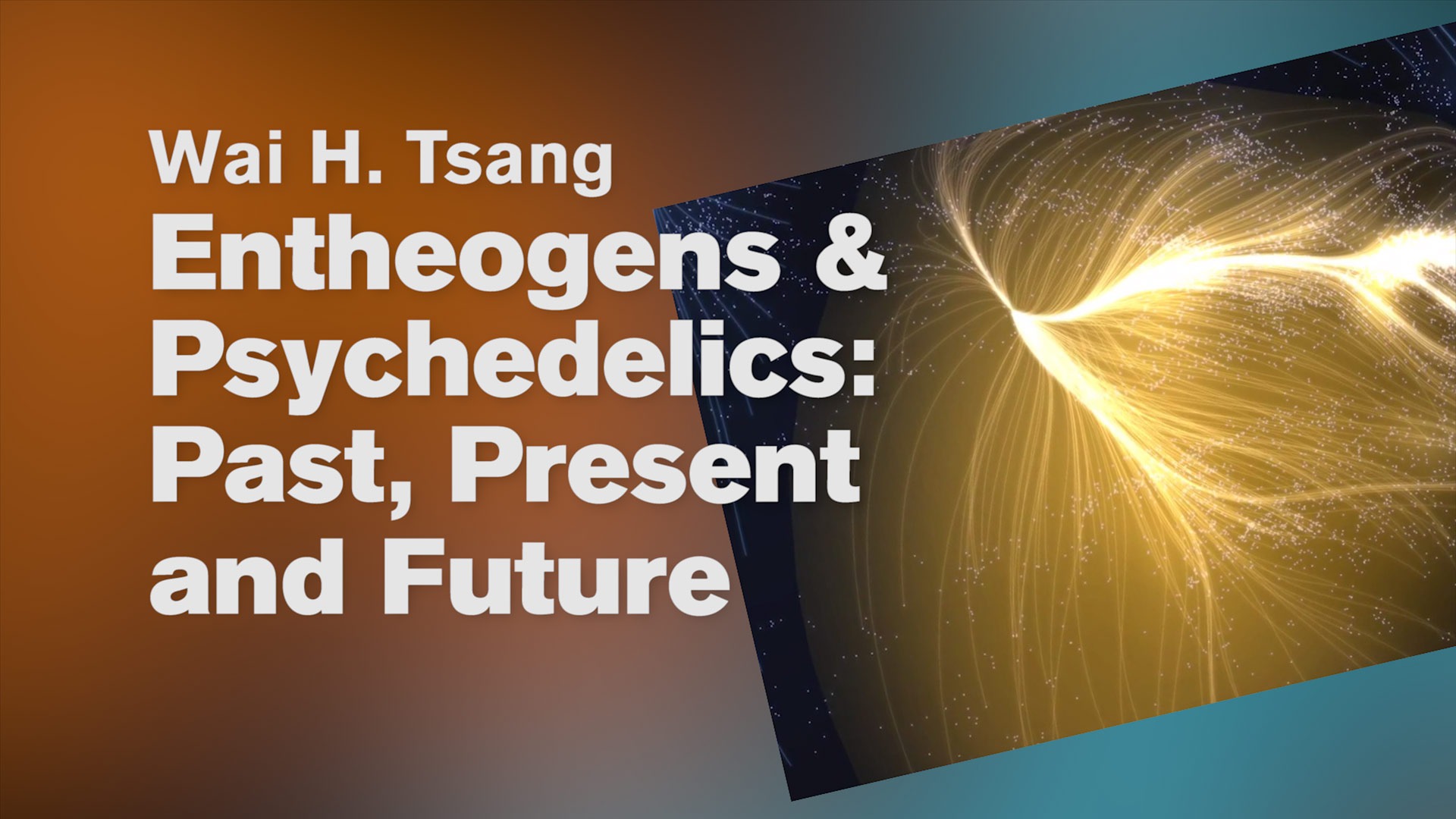 Entheogens & Psychedelics : Past, Present and Future – Wai H. Tsang