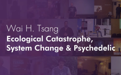 Wai H. Tsang – Ecological Catastrophe, System Change & Psychedelic