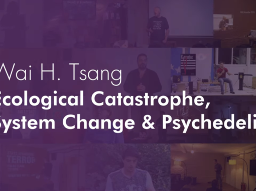 Wai H. Tsang – Ecological Catastrophe, System Change & Psychedelic