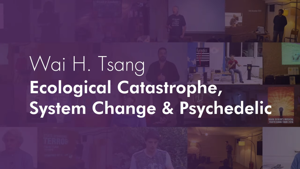 Wai H. Tsang – Ecological Catastrophe, System Change & Psychedelic